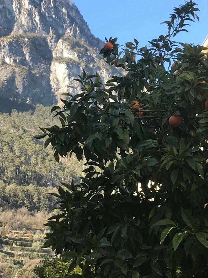 Appartamento Casa Nika Riva del Garda Esterno foto